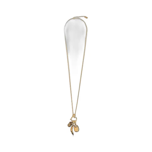 The Chloé Charms Necklace