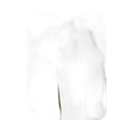 Bow Detailed High-Rise Shorts