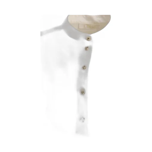Long-Sleeved Tuxedo Shirt