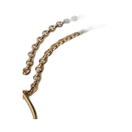 The Chloé Iconic Belt