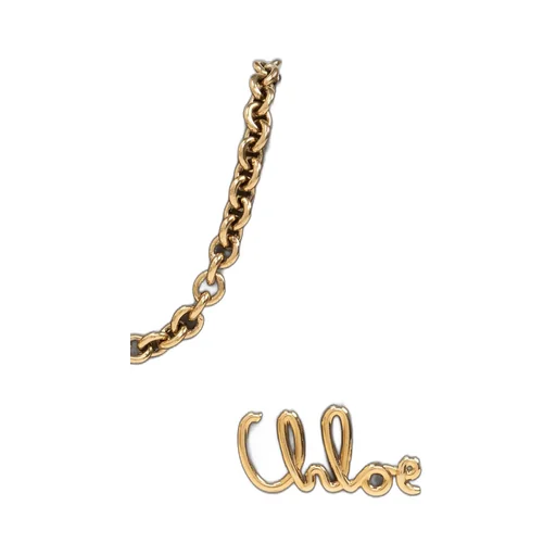 Iconic Flap Wallet On Chain
