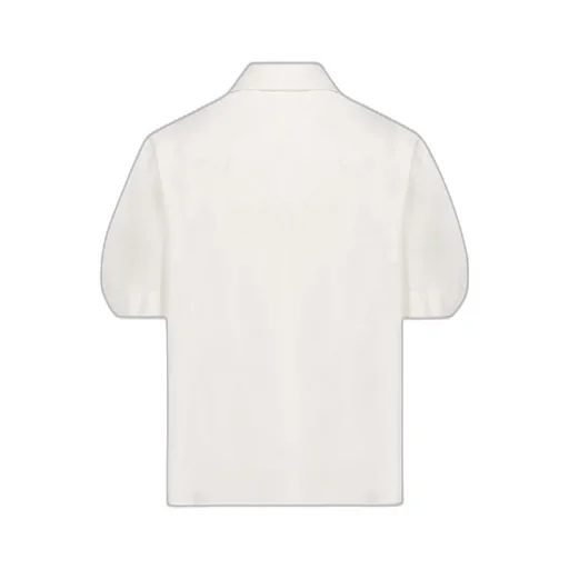 Embroidered Balloon-Sleeved Shirt