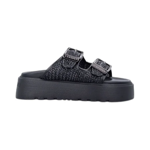 Birky Ale Platform Slides