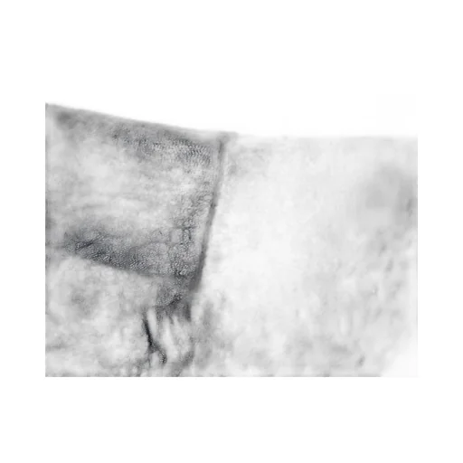 Textured Mini Skirt