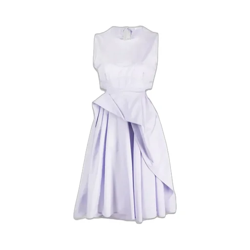 Sleeveless Bustier Midi Dress