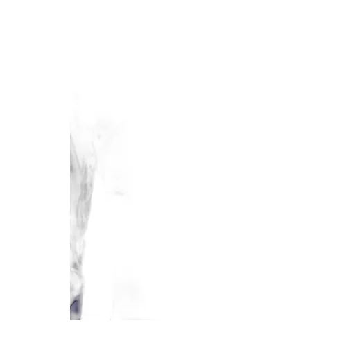 Illusion Sheath Dress