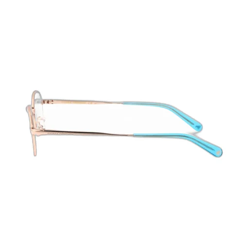 Round Frame Glasses