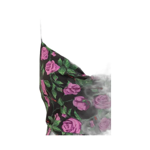 Rose Printed Open Back Dress