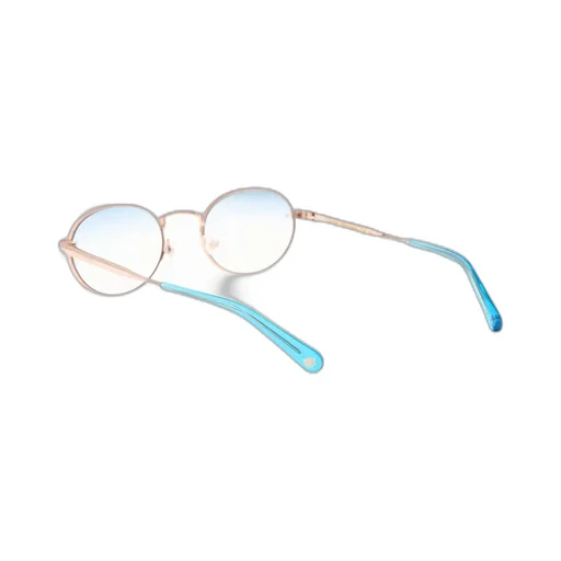 Round Frame Glasses