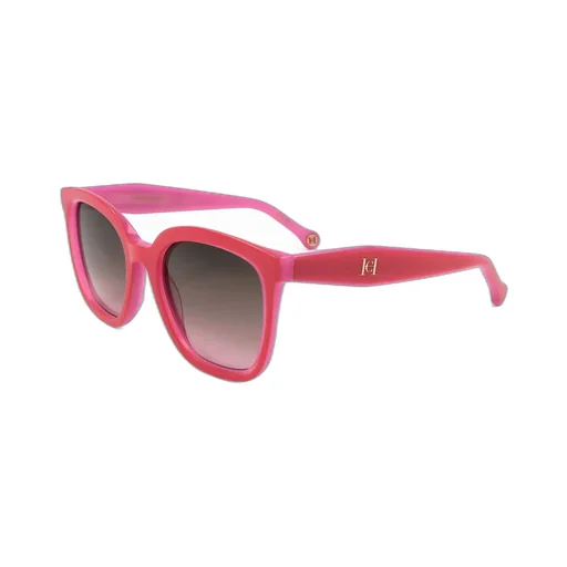Wayfarer Frame Sunglasses