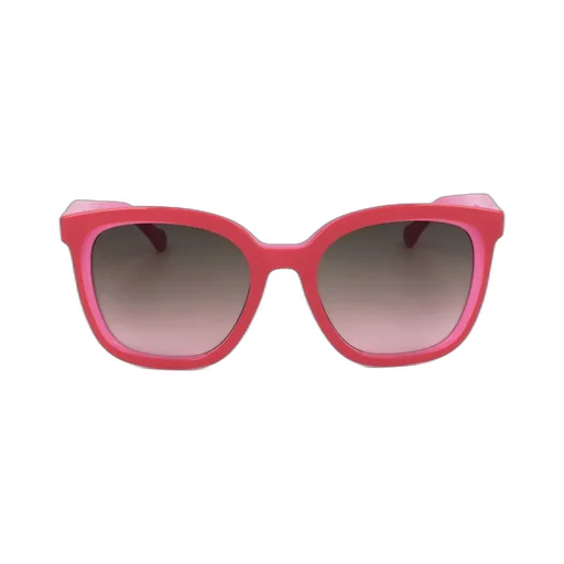 Wayfarer Frame Sunglasses