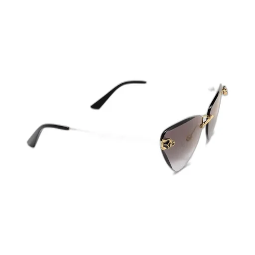 Cat Eye Frame Sunglasses