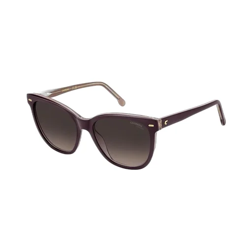 Oval Frame Full Rim Sunglasses