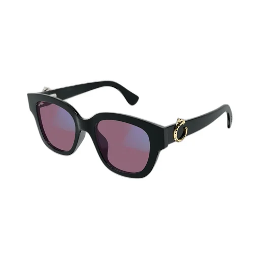 Square Frame Sunglasses