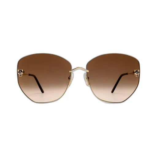 Cat-Eye Frame Sunglasses