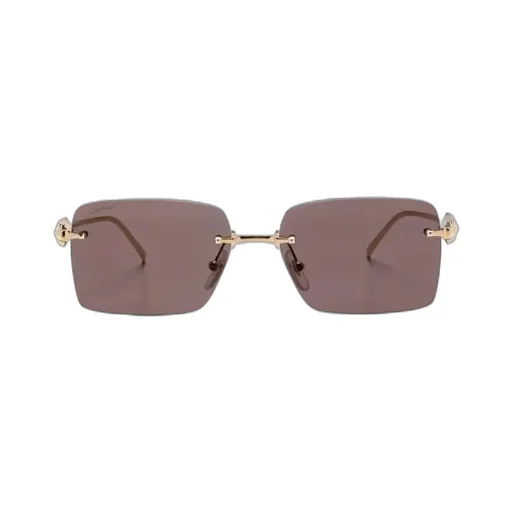 Rectangular Frame Sunglasses