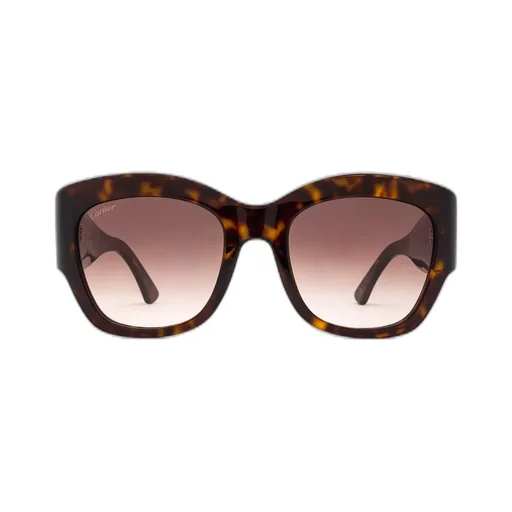 Square Frame Sunglasses