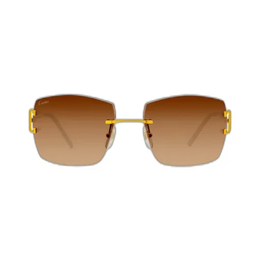 Square Frame Sunglasses