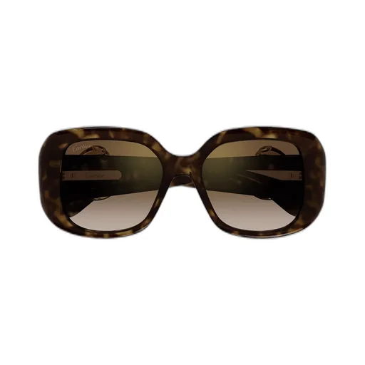 Square Frame Sunglasses