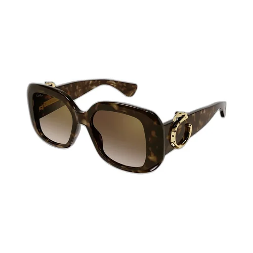 Square Frame Sunglasses