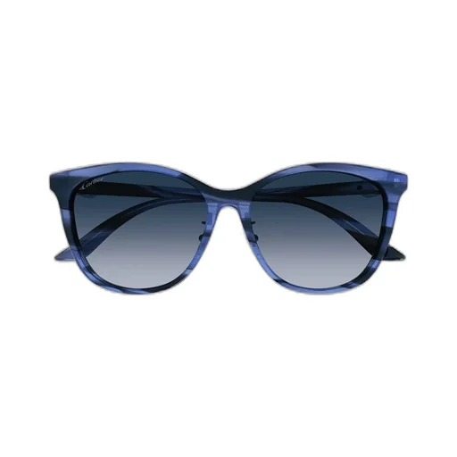 Square Frame Sunglasses