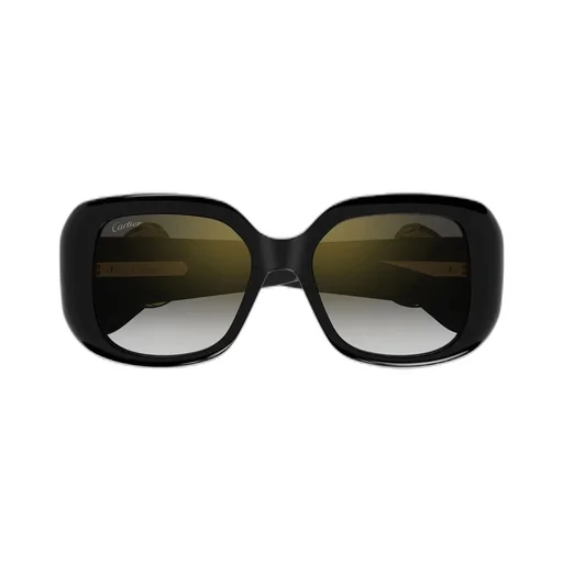 Square Frame Sunglasses