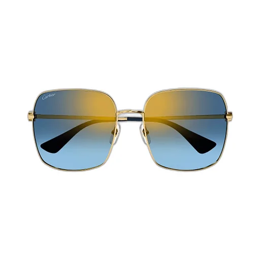Square Frame Sunglasses