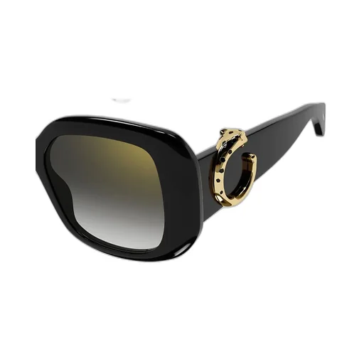 Square Frame Sunglasses