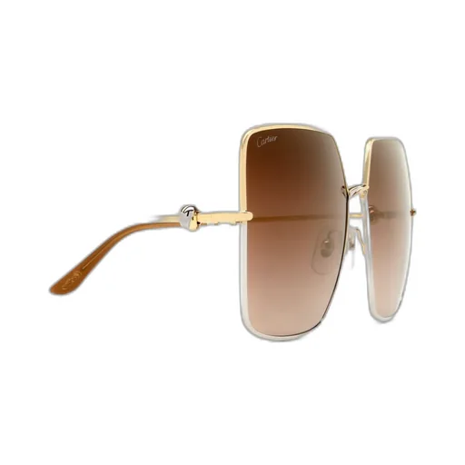 Square Frame Sunglasses