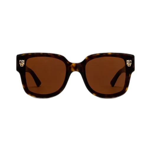 Square Frame Sunglasses