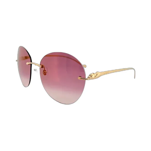 Rounded Frame Sunglasses