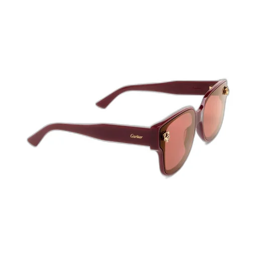 Square Frame Sunglasses
