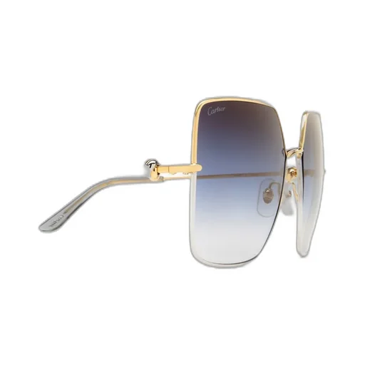 Square Frame Sunglasses