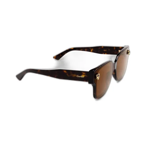 Square Frame Sunglasses
