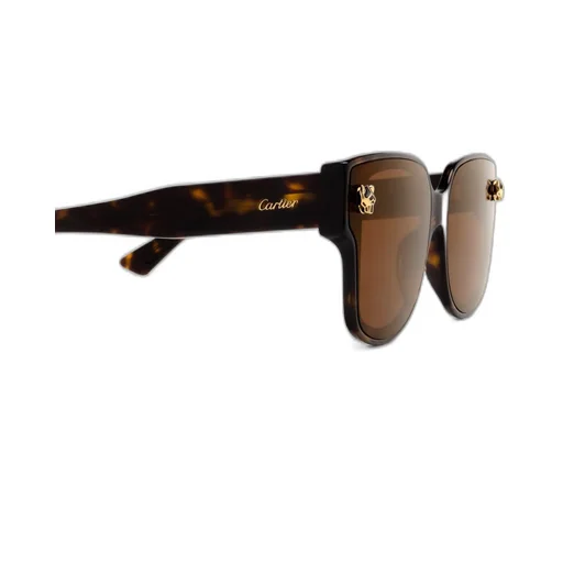 Square Frame Sunglasses