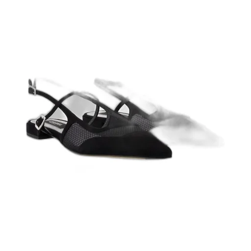 Maela Pointed Toe Ballerinas
