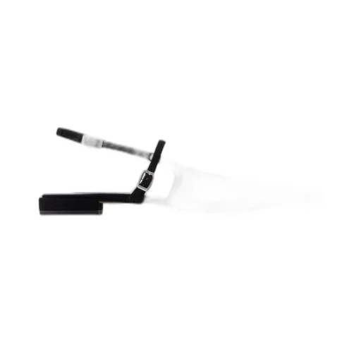 Maela Pointed Toe Ballerinas