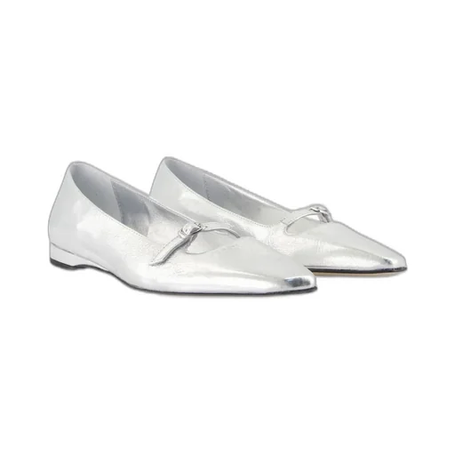 Emilie Pointed Toe Ballerinas