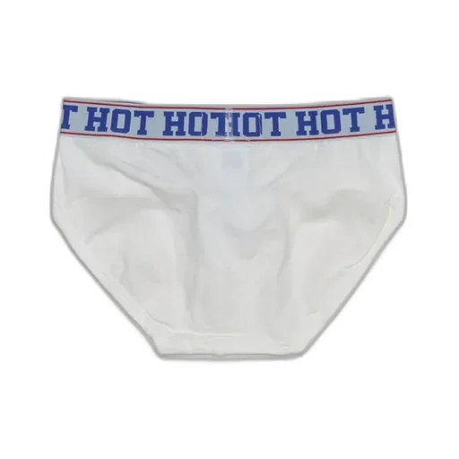 Waistband Wishes Briefs