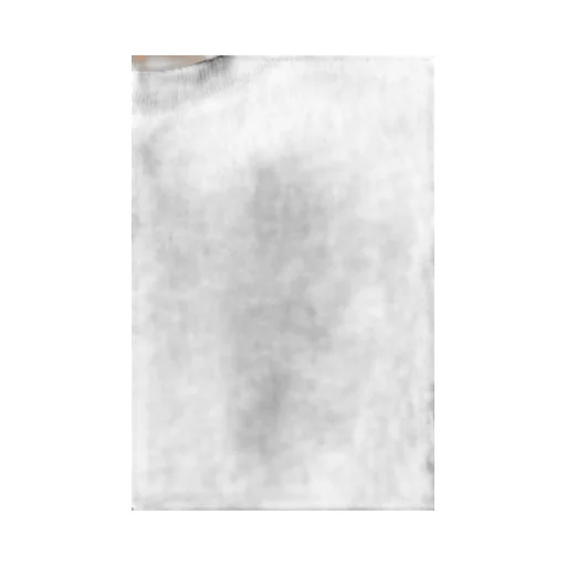 Hedil Crewneck T-Shirt