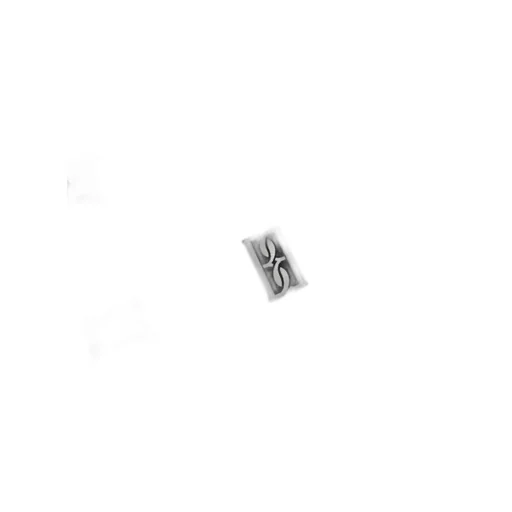 Monnis Monogram Printed Scarf