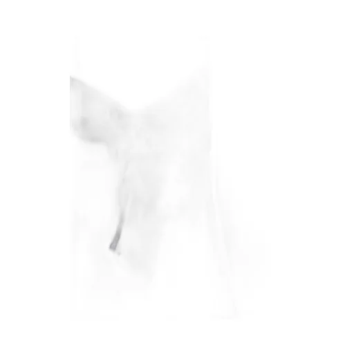 Lace Trim Camisole