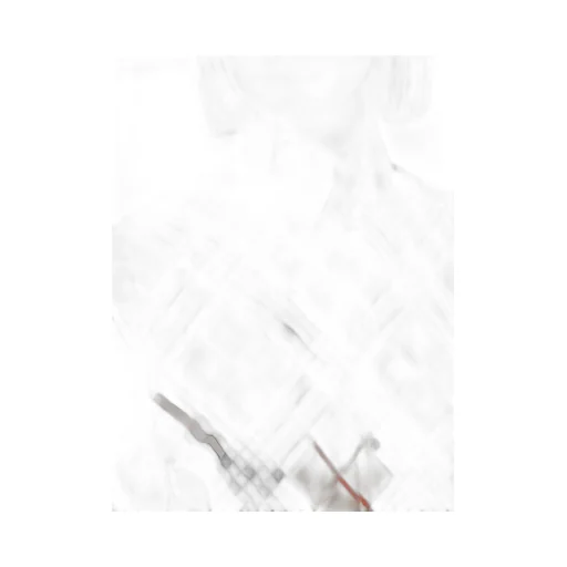 Check Printed Long Sleeved Shirt