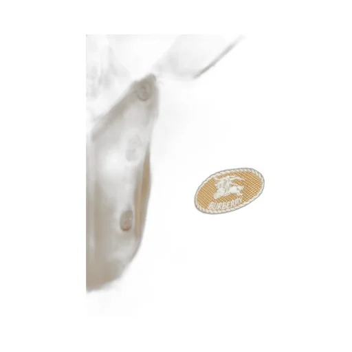 Logo Embroidered Short-Sleeve Polo Shirt