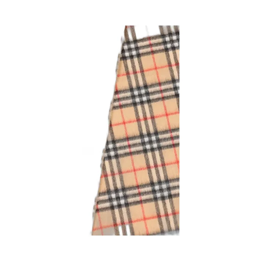 Checked Fringed-Edge Scarf
