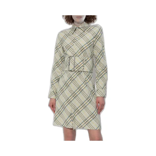 Checked Belted Waist Shirt Dress