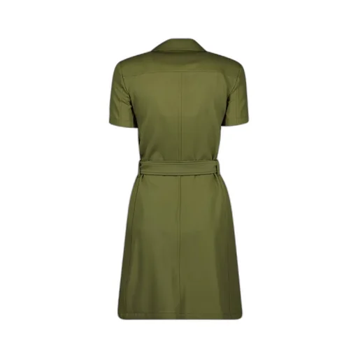 Double Breasted Belted Dress