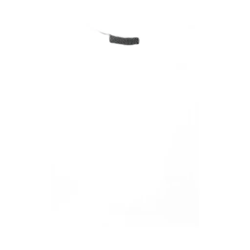 Monile-Detailed Crewneck Top