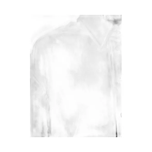 Long-Sleeved Buttoned Shirt