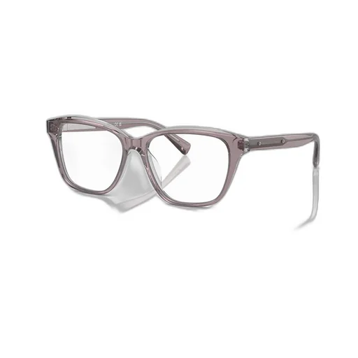 Butterfly Frame Glasses